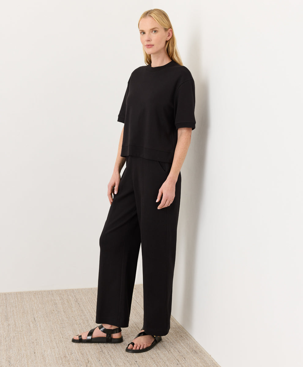 Organic Airplane Arrivals Set